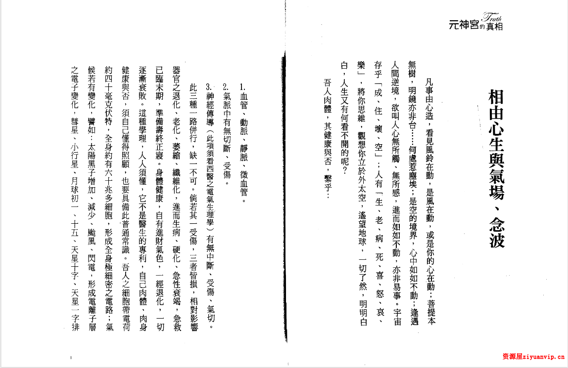 司萤居士-元神宫的真相3.png