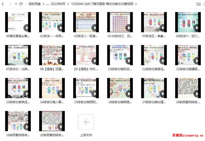 仙扑门梅花易数 梅花分类占20集视频1.jpg
