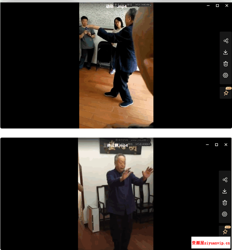 马世琦2016桩功课程合集 含桩功讲课 分动作演示2.png