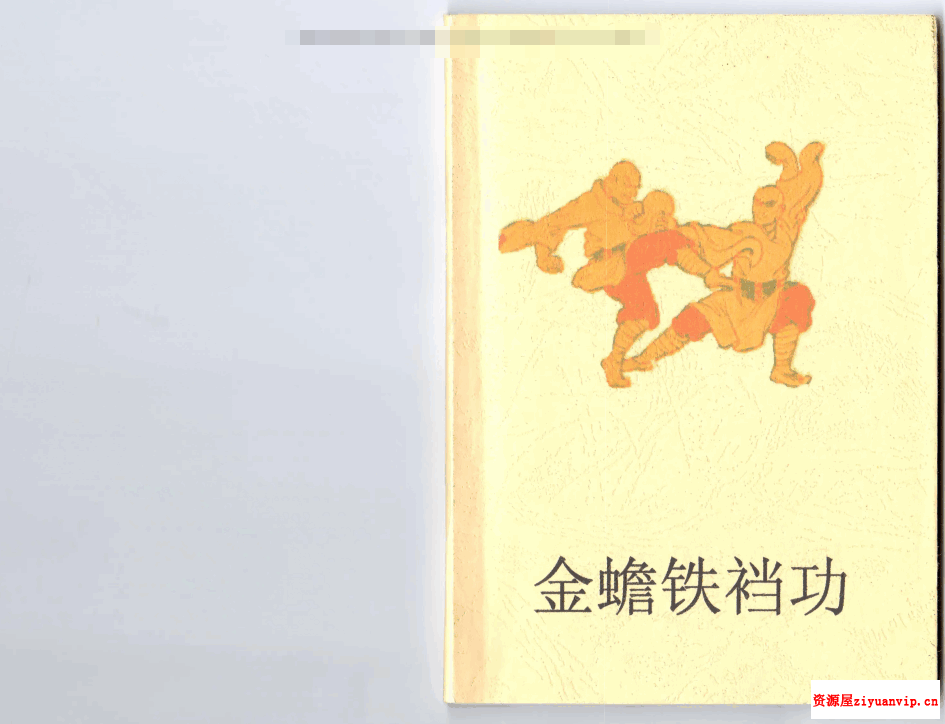 祁美娟 杨保宗《金蟾铁当功》一册80页pdf1.png