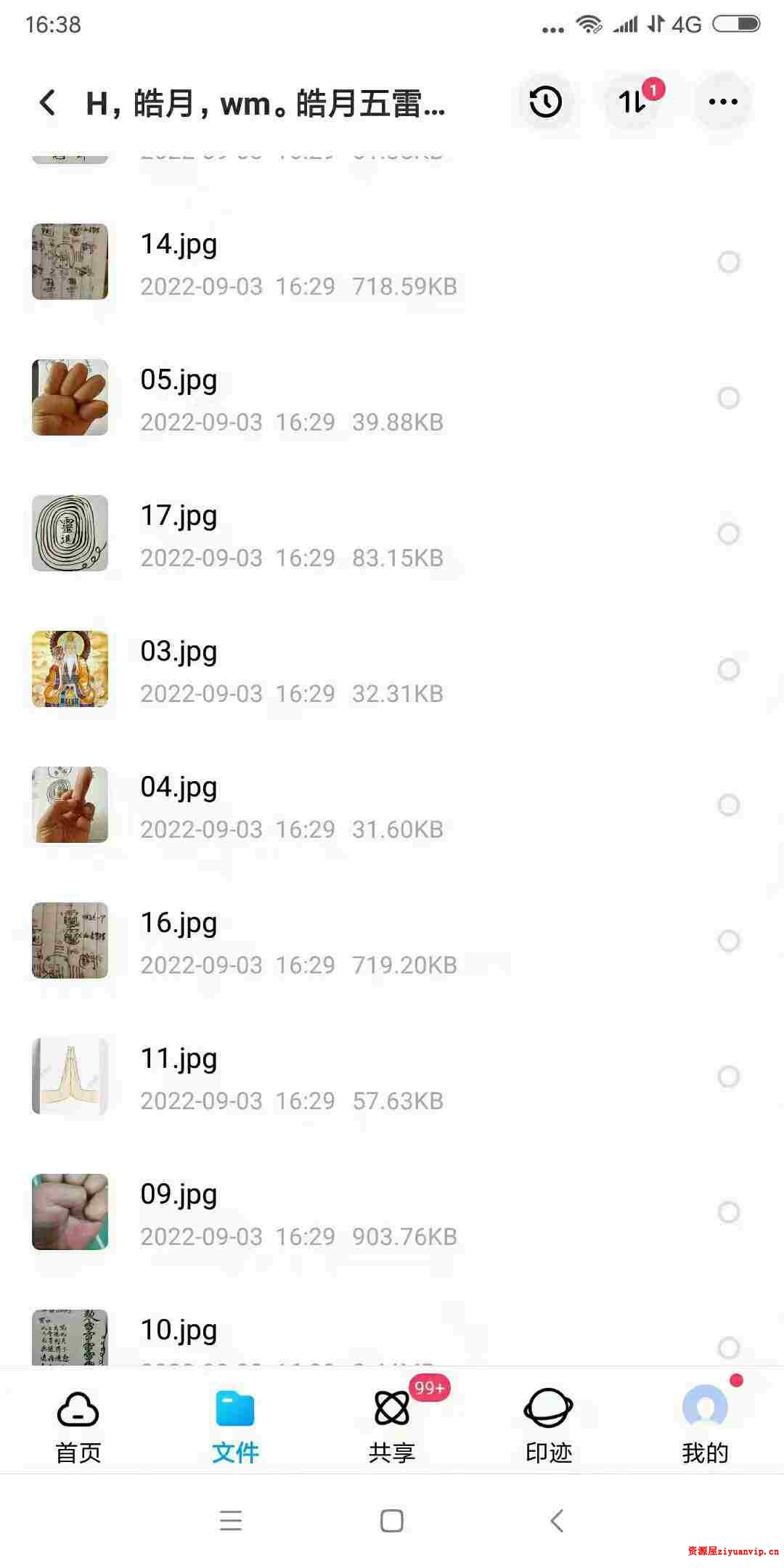 皓月五雷法五雷掌功法修炼调理程序 视频 文字 图片2.jpg