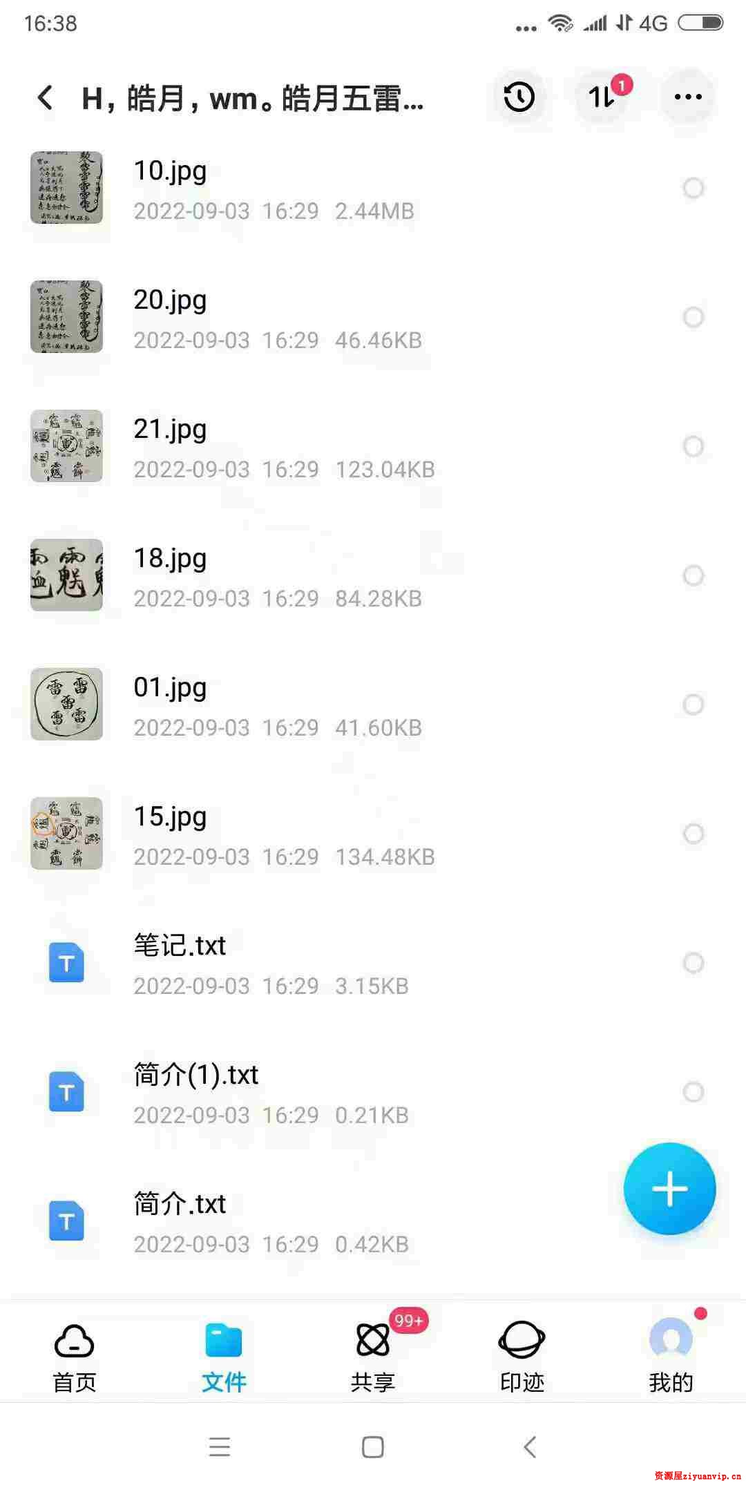皓月五雷法五雷掌功法修炼调理程序 视频 文字 图片3.jpg